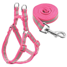 Load image into Gallery viewer, Dog Leash Set