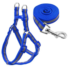 Load image into Gallery viewer, Dog Leash Set