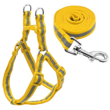 Load image into Gallery viewer, Dog Leash Set