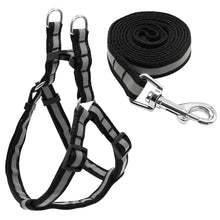 Load image into Gallery viewer, Dog Leash Set