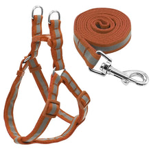 Load image into Gallery viewer, Dog Leash Set