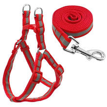 Load image into Gallery viewer, Dog Leash Set