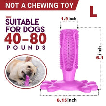 Load image into Gallery viewer, Toothbrush For Dog