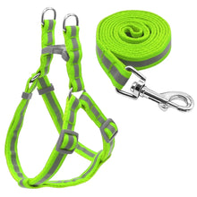 Load image into Gallery viewer, Dog Leash Set