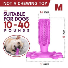 Load image into Gallery viewer, Toothbrush For Dog
