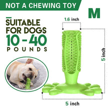 Load image into Gallery viewer, Toothbrush For Dog
