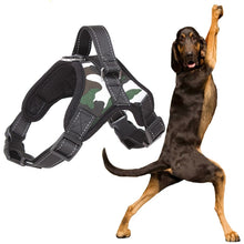 Load image into Gallery viewer, Large Dog Harness