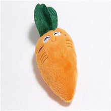 Load image into Gallery viewer, Stuffed Squeaking Pet Toy