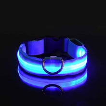 Load image into Gallery viewer, Rechargable Dog LED Flashing Collar