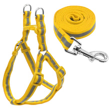 Load image into Gallery viewer, Dog Leash Set