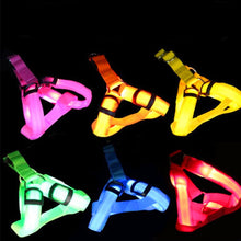 Load image into Gallery viewer, Nylon Pet Safety LED Harness