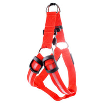 Load image into Gallery viewer, Nylon Pet Safety LED Harness