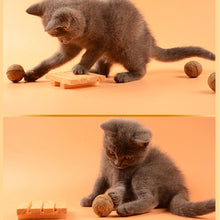 Load image into Gallery viewer, Catnip Toy