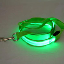 Load image into Gallery viewer, Glow In Dark Dog Leash
