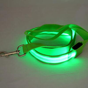 Glow In Dark Dog Leash