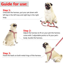 Load image into Gallery viewer, Dog Leash Set