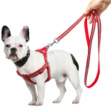 Load image into Gallery viewer, Dog Leash Set