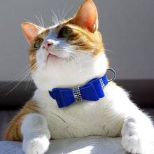 Load image into Gallery viewer, Puppy Cat Collars Adjustable Leather Bowknot