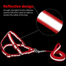 Load image into Gallery viewer, Dog Leash Set