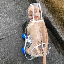 Load image into Gallery viewer, HOOPET Small Dog Raincoat