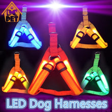 Load image into Gallery viewer, Nylon Pet Safety LED Harness