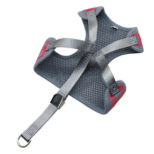 Load image into Gallery viewer, Vest Harness With Bowknot Mesh Padded