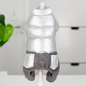 Winter Dog Clothes