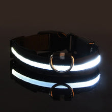 Load image into Gallery viewer, Rechargable Dog LED Flashing Collar