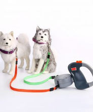 Load image into Gallery viewer, Dog Collars - 2 in 1 Dog Leash