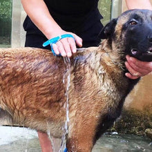Load image into Gallery viewer, Comfortable Massager Pet Shower Tool