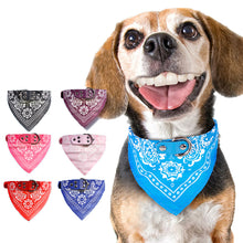 Load image into Gallery viewer, Chihuahua Puppy Pet Neckerchief