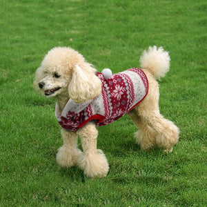 Christmas Winter Coat for Puppies and Cats