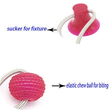 Load image into Gallery viewer, Suction cup dog push toy Interactive fun Pet toy with TPR ball