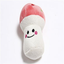 Load image into Gallery viewer, Stuffed Squeaking Pet Toy