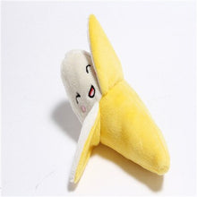 Load image into Gallery viewer, Stuffed Squeaking Pet Toy