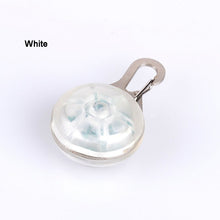 Load image into Gallery viewer, Clip on Collar Glowing Pendant