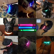 Load image into Gallery viewer, USB Charging Led Dog Collar Anti-Lost/Avoid Car Accident Collar