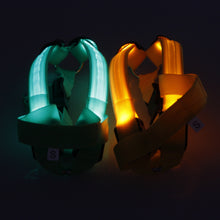 Load image into Gallery viewer, Nylon Pet Safety LED Harness