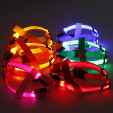Load image into Gallery viewer, Nylon Pet Safety LED Harness