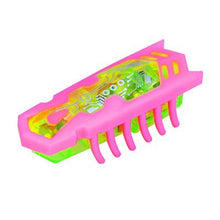 Load image into Gallery viewer, Robotic Bug Toy For Cats
