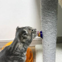 Load image into Gallery viewer, Cat Candy Treat