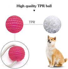 Load image into Gallery viewer, Suction cup dog push toy Interactive fun Pet toy with TPR ball