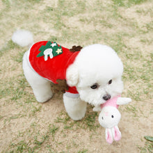 Load image into Gallery viewer, Christmas Cat Clothes Small Dogs Cats Santa Costume