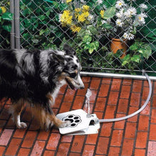 Load image into Gallery viewer, Outdoor Dog Cat Pet Drinking Water Fountain Doggie Dog Sprinkler Training Intellectual Tool Pet Water Drinking Machine