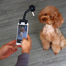 Load image into Gallery viewer, Selfie Stick for Pets Dog Cat