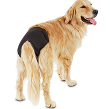 Load image into Gallery viewer, PetMate Reusable Dog Diaper