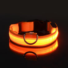 Load image into Gallery viewer, Rechargable Dog LED Flashing Collar