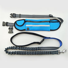 Load image into Gallery viewer, Handsfree Bungee Dog Leash