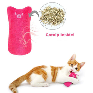 Crittertrends Claws Catnip Toy