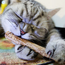 Load image into Gallery viewer, cat teeth cleaning natural pure catnip
